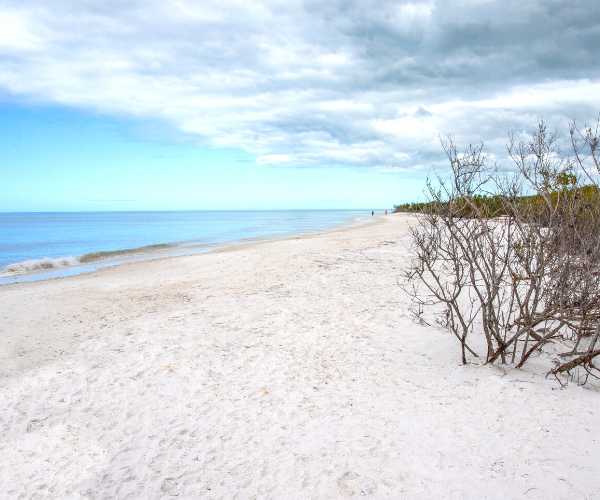 Honeymoon Island State Park in Florida on a slightly cloudy day. Partially blue skies and clear water next to the white sandy beach with many trees.