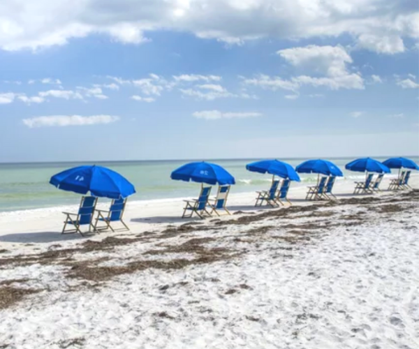 Beach Chairs and Umbrellas sitting on Caladesi State Park Florida