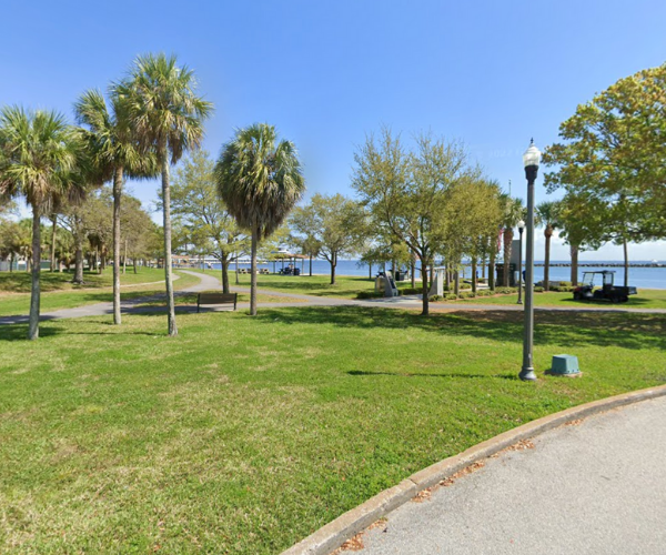 Demens Landing Park with Palm Trees in St. Petersburg Florida